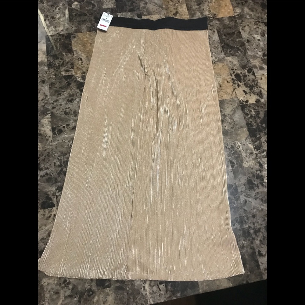 Long skirt